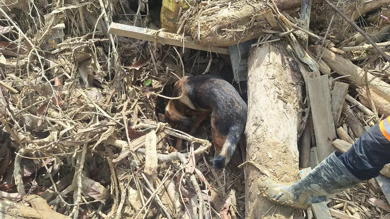 WhatsApp Image 2025-12-21 at 16.25.05