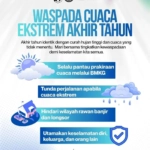 WhatsApp Image 2025-12-25 at 10.17.50