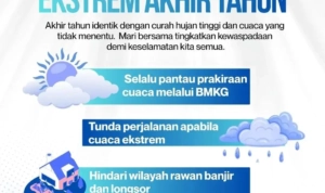 WhatsApp Image 2025-12-25 at 10.17.50