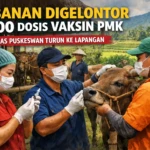 Foto ilustrasi Tabanan Salurkan 1.300 Dosis Vaksin PMK