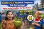 Foto ilustrasi Kuota LPG 3 Kg untuk Denpasar Tak Bertambah Warga Sering Kesulitan Cari Gas Melon