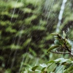 Malang Siaga Hujan Petir Siang Ini