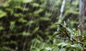 Malang Siaga Hujan Petir Siang Ini