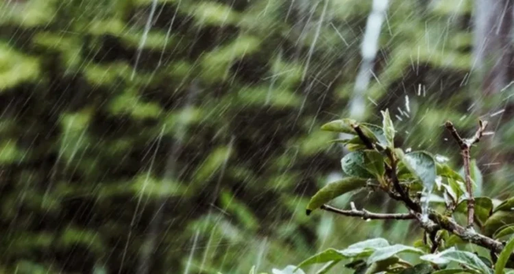 Malang Siaga Hujan Petir Siang Ini