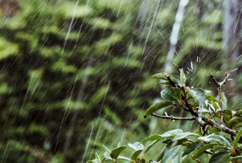 Malang Siaga Hujan Petir Siang Ini
