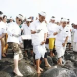 Pemprov Bali Lepas Tukik dan Ratusan Burung