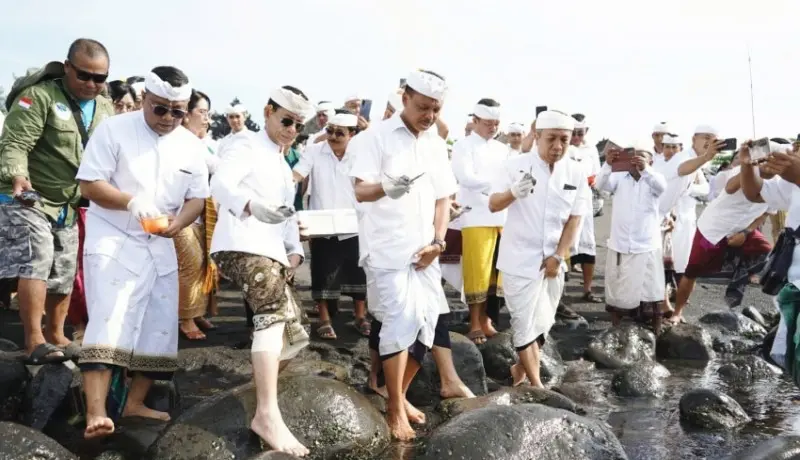 Pemprov Bali Lepas Tukik dan Ratusan Burung