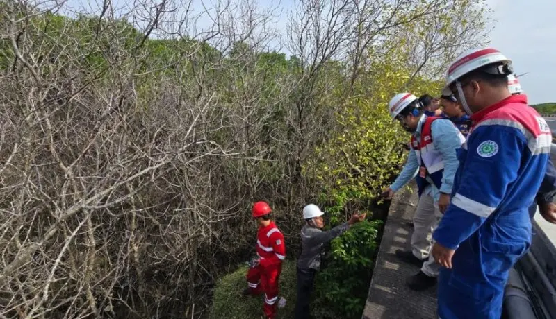 Pertamina Bantah Tumpahan BBM di Benoa