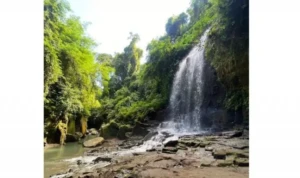 Temesi Waterfall Rayakan Dua Tahun Operasional