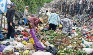 TPA Butus Dimanfaatkan Warga Cari Pakan Ternak