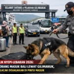 50 Ribu Masuk Bali, Pengamanan Diperketat