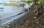 Pantai Gilimanuk Dikepung Sampah Kiriman