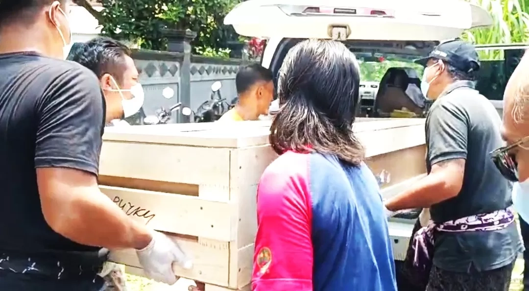 PMI Jembrana Tewas di Rusia, Fakta Dipertanyakan