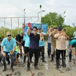 Seribu Mangrove Ditanam, Kerusakan 18 Hektar Dipulihkan