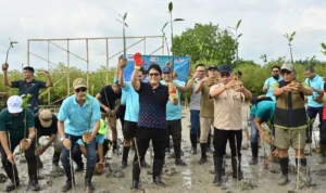 Seribu Mangrove Ditanam, Kerusakan 18 Hektar Dipulihkan