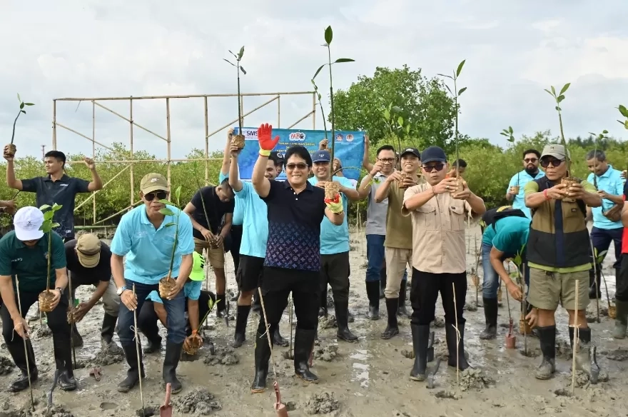 Seribu Mangrove Ditanam, Kerusakan 18 Hektar Dipulihkan
