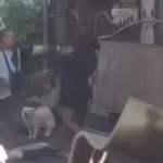 WNA Ribut Soal Ongkos Ojol, Warga Turun Tangan